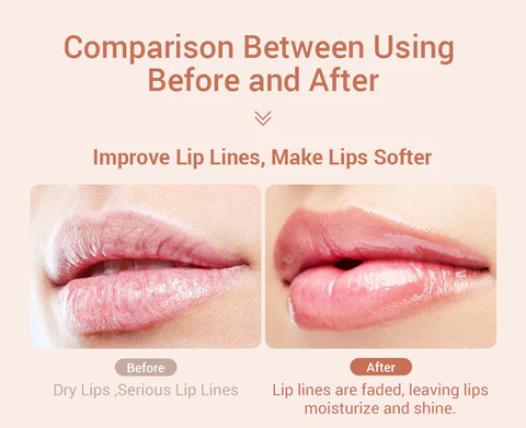 Lanbena Nourishing and Repair Coconut Lip Balm – 6.5g